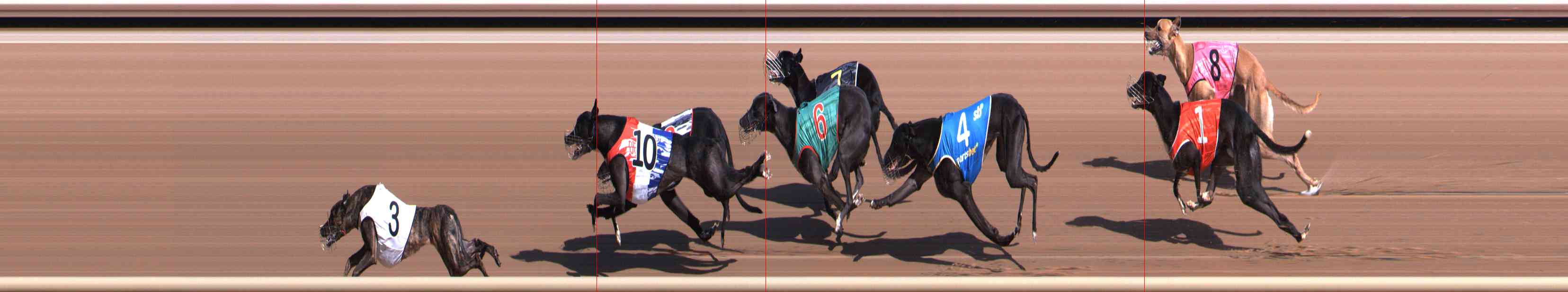 Photo finish for Healesville Race 2