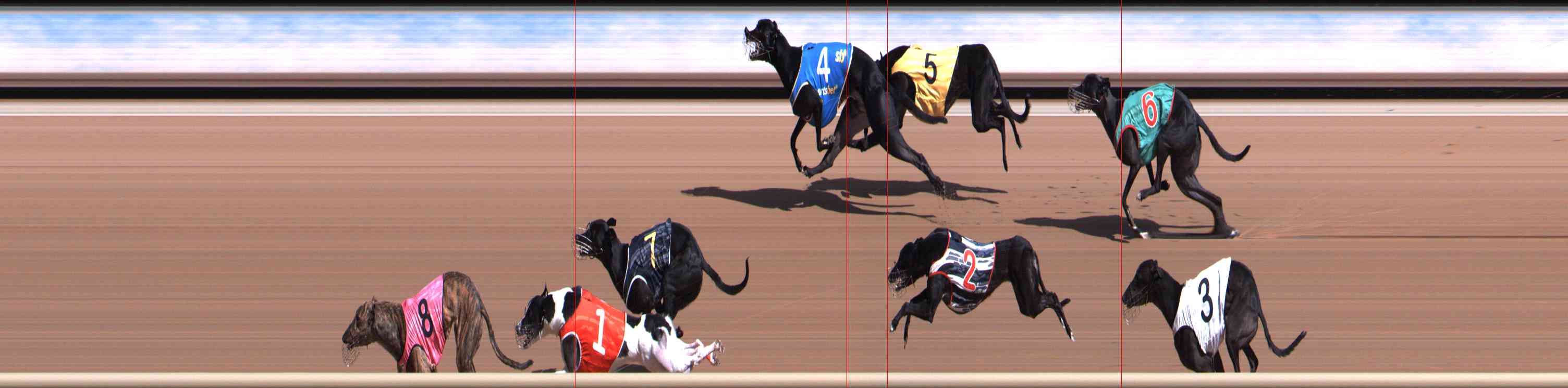 Photo finish for Healesville Race 3