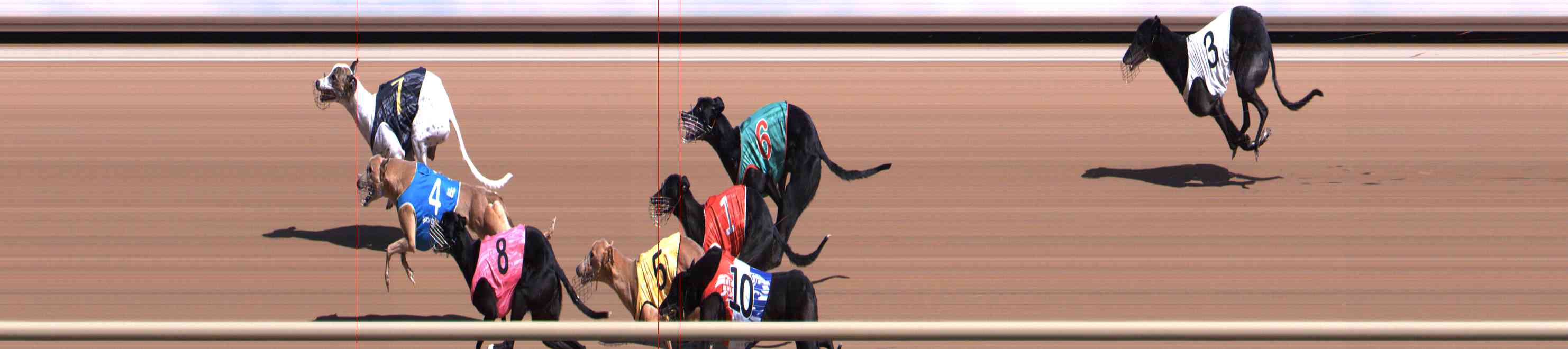 Photo finish for Healesville Race 4
