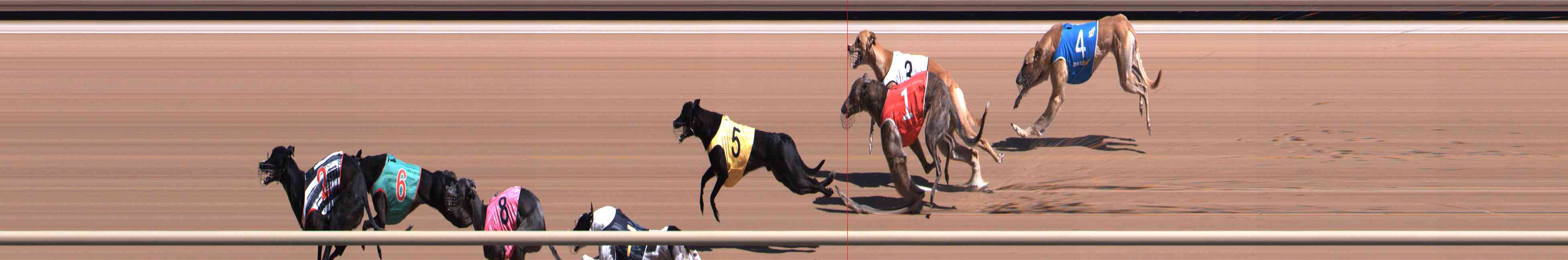 Photo finish for Healesville Race 5