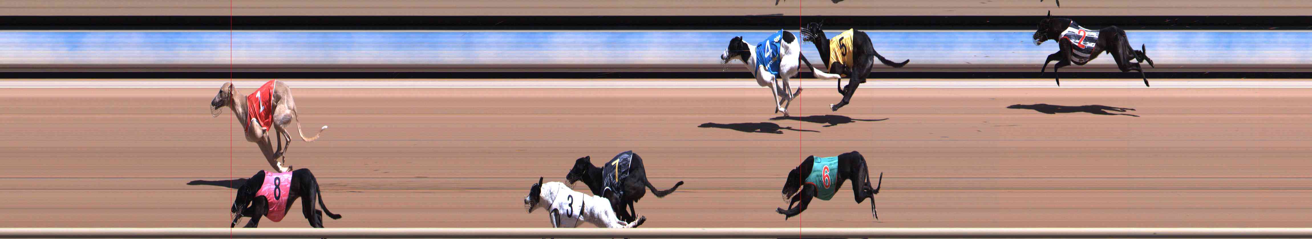 Photo finish for Healesville Race 6