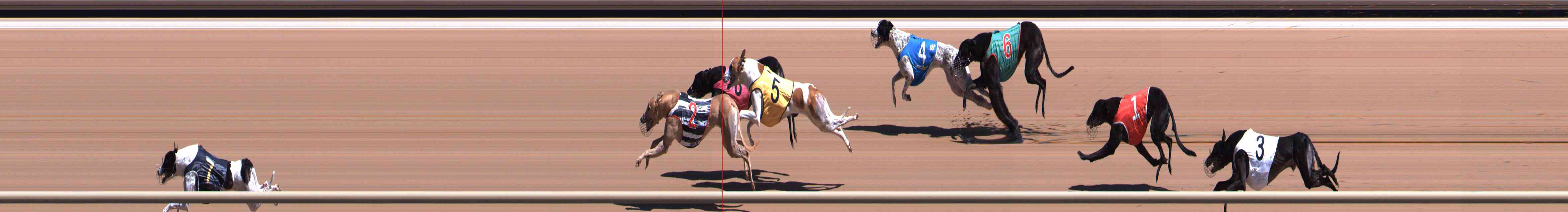 Photo finish for Healesville Race 7