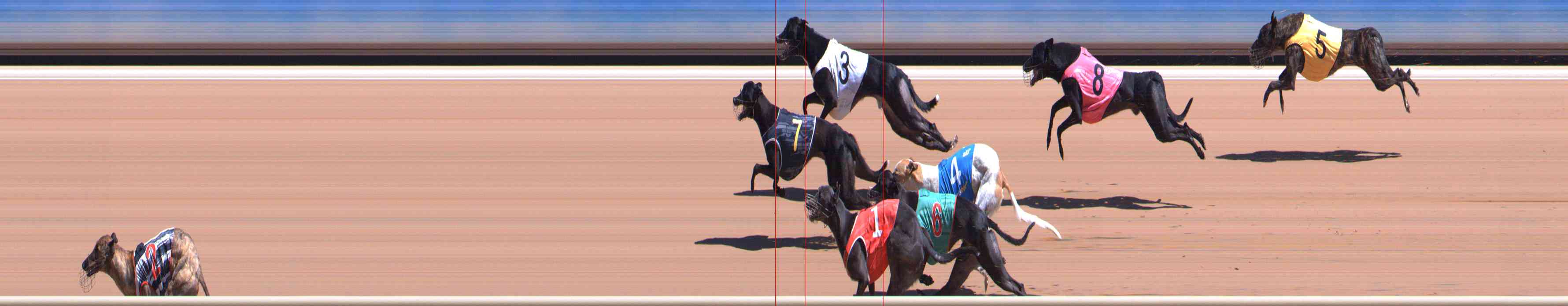 Photo finish for Healesville Race 8
