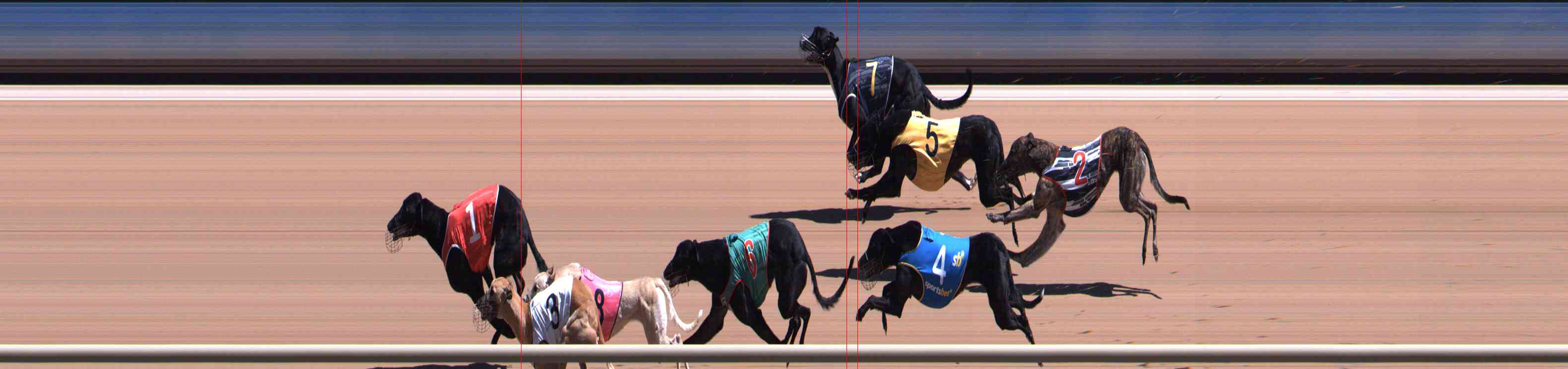 Photo finish for Healesville Race 9