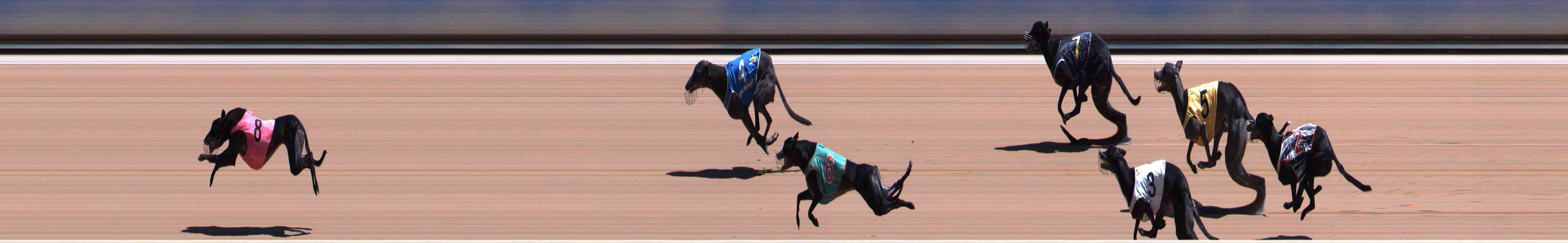 Photo finish for Healesville Race 10
