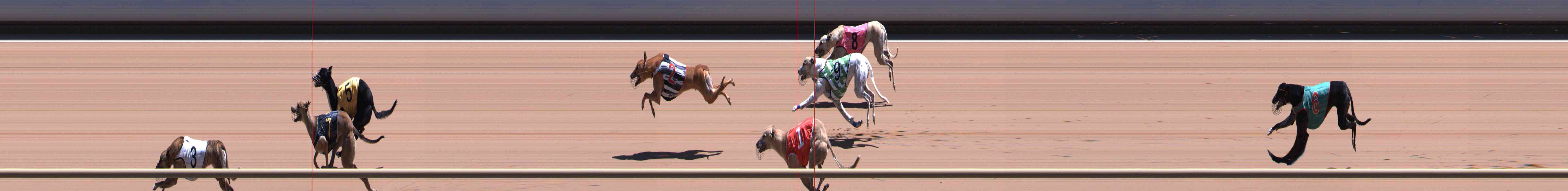 Photo finish for Healesville Race 11