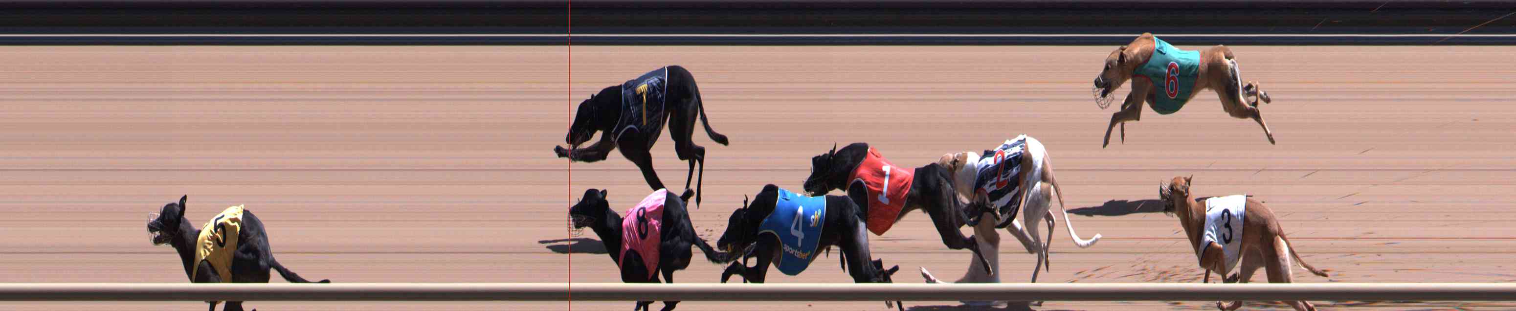 Photo finish for Healesville Race 12
