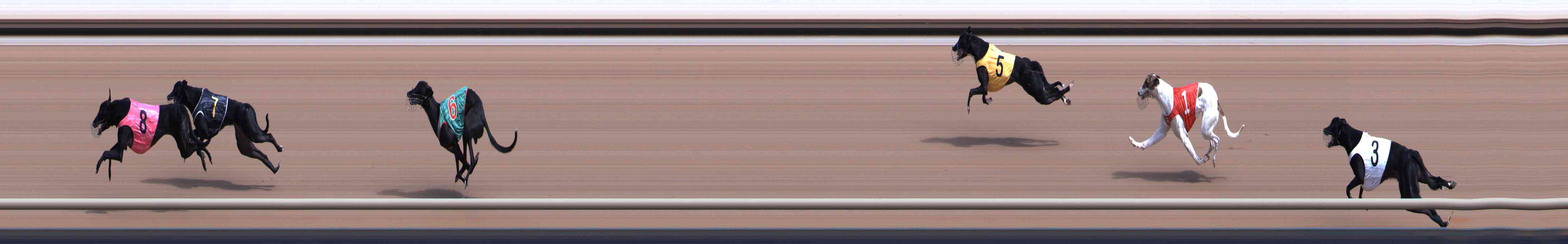 Photo finish for Healesville Race 2