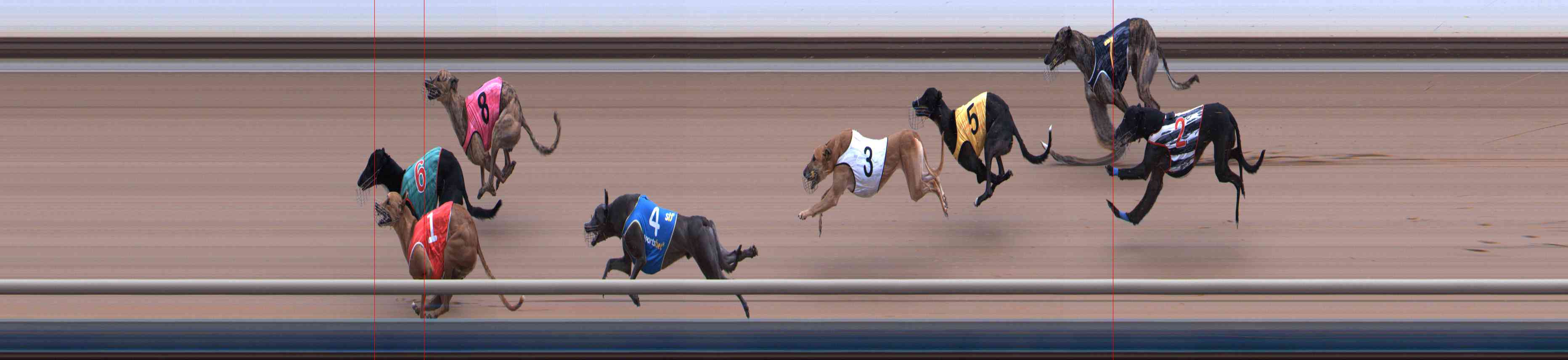 Photo finish for Healesville Race 3
