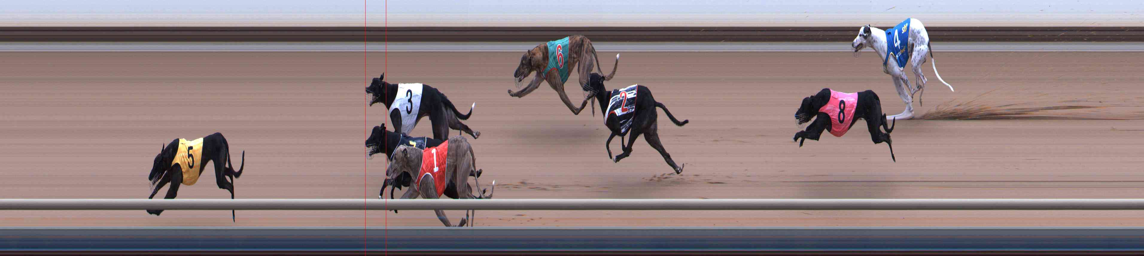 Photo finish for Healesville Race 4