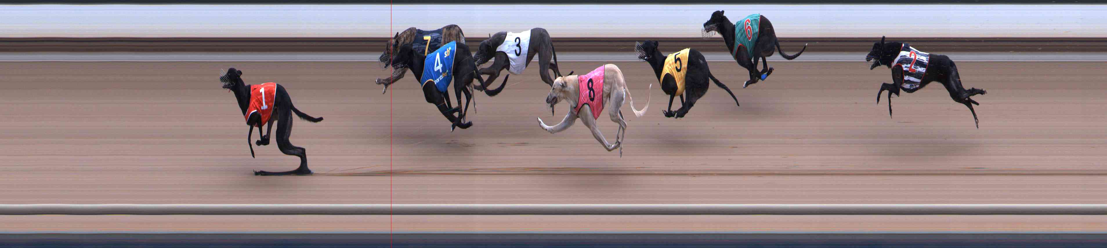 Photo finish for Healesville Race 5
