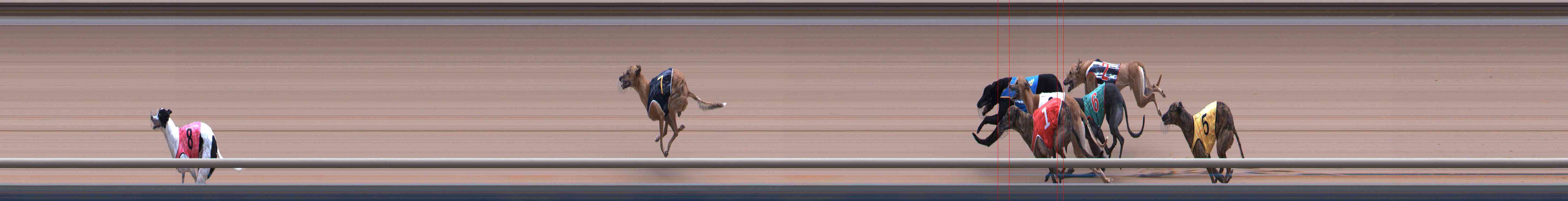Photo finish for Healesville Race 6