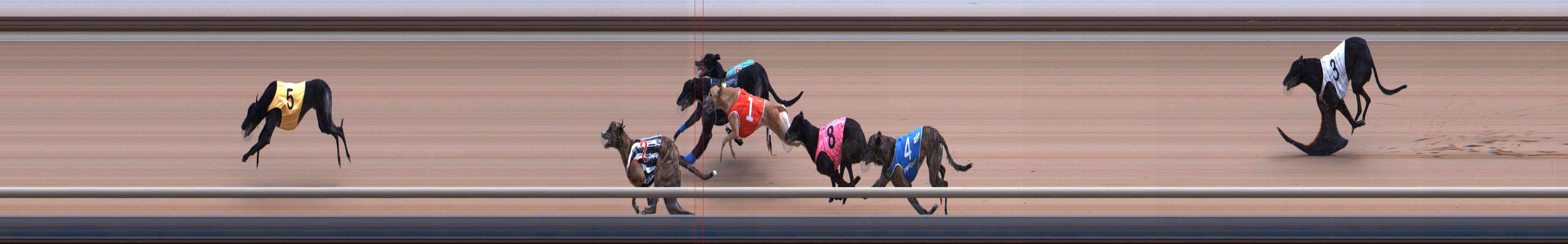 Photo finish for Healesville Race 7