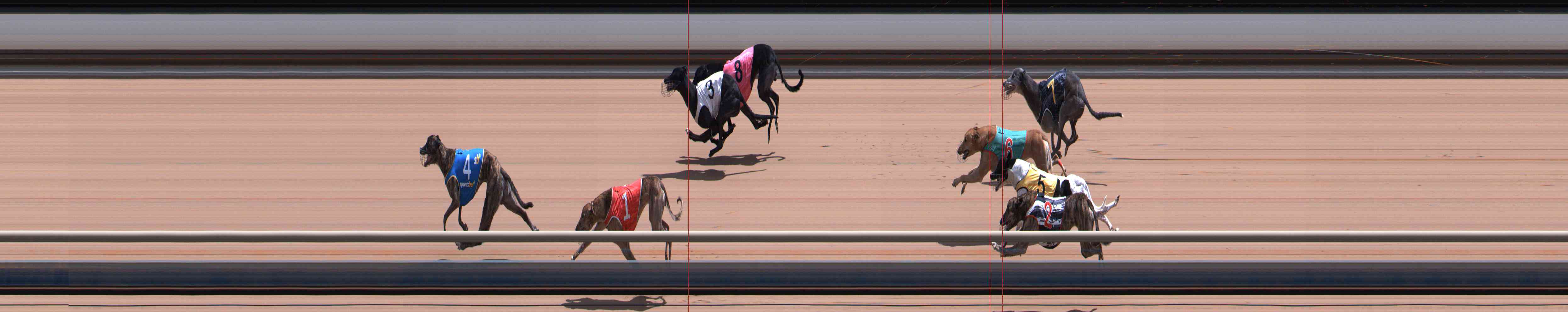 Photo finish for Healesville Race 8