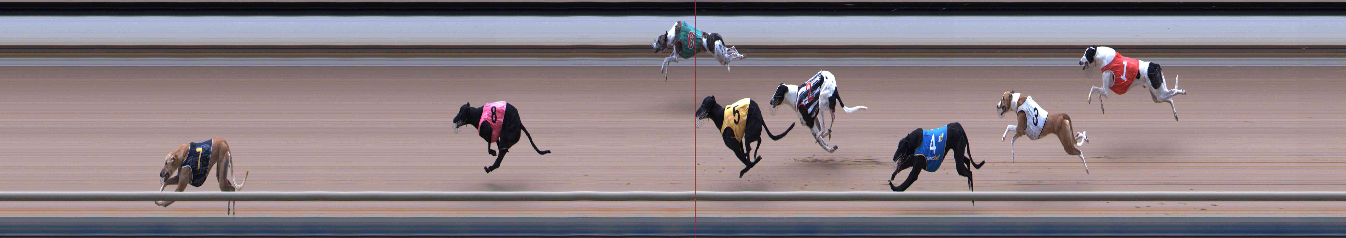 Photo finish for Healesville Race 9