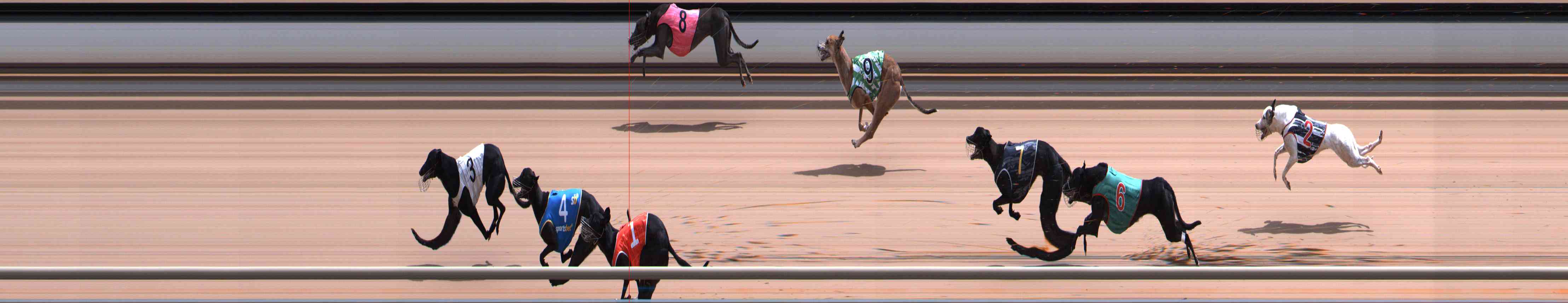 Photo finish for Healesville Race 10