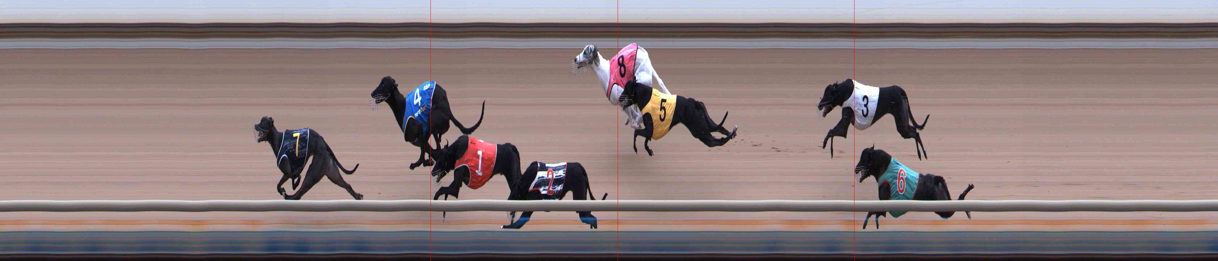 Photo finish for Healesville Race 11