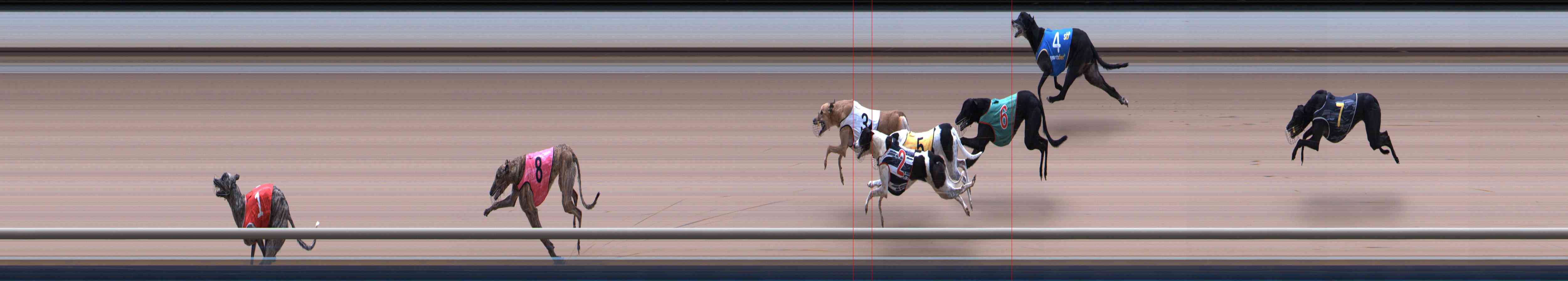 Photo finish for Healesville Race 12