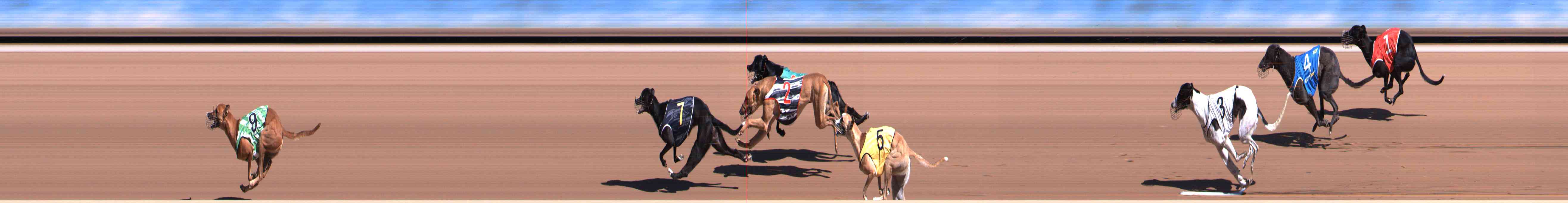 Photo finish for Healesville Race 1