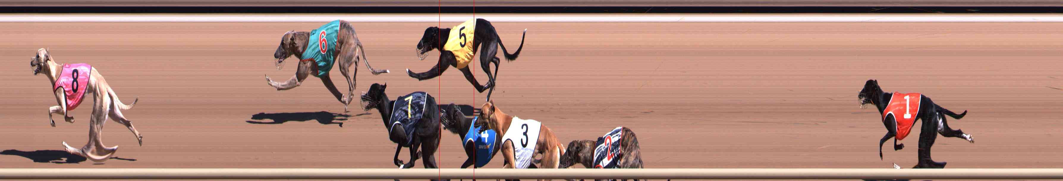Photo finish for Healesville Race 2