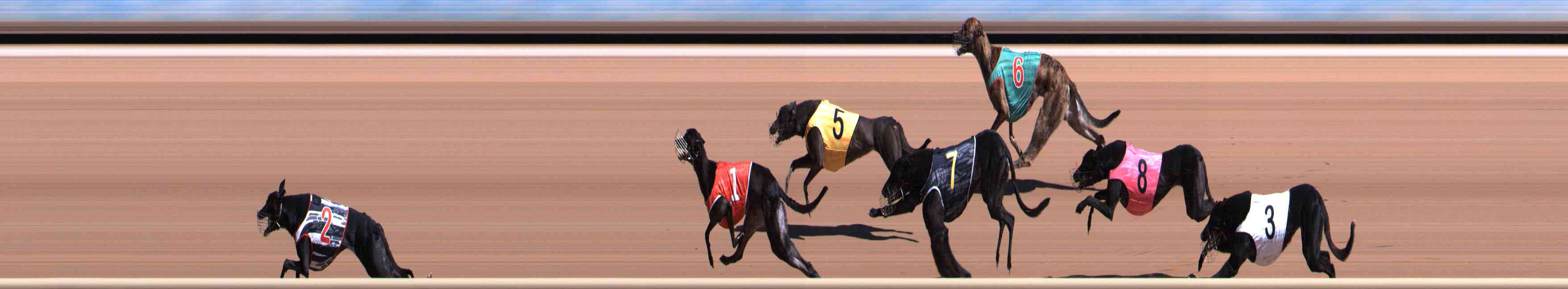 Photo finish for Healesville Race 3