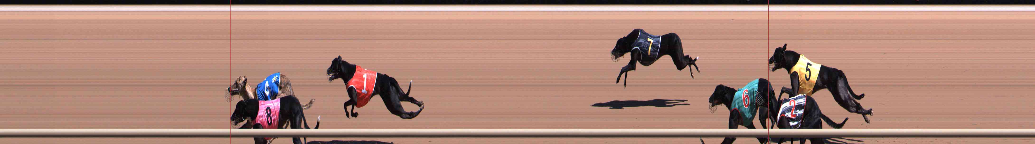 Photo finish for Healesville Race 4