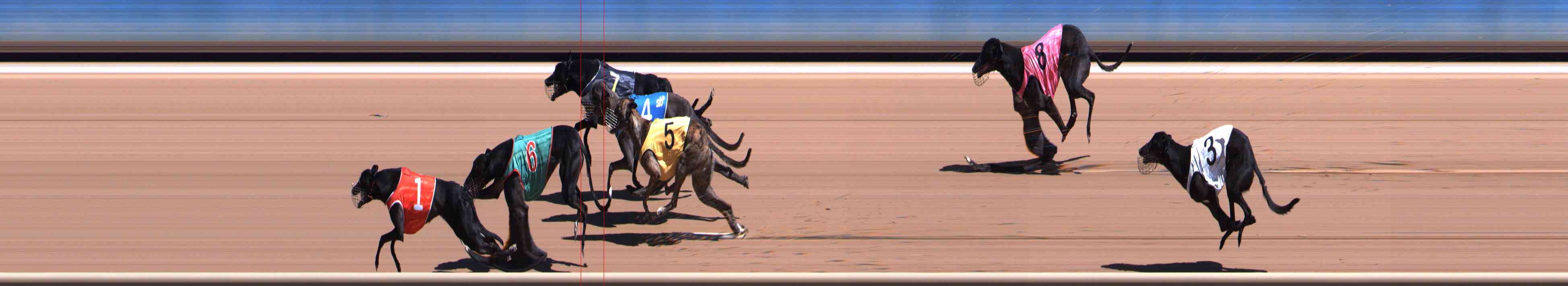 Photo finish for Healesville Race 5