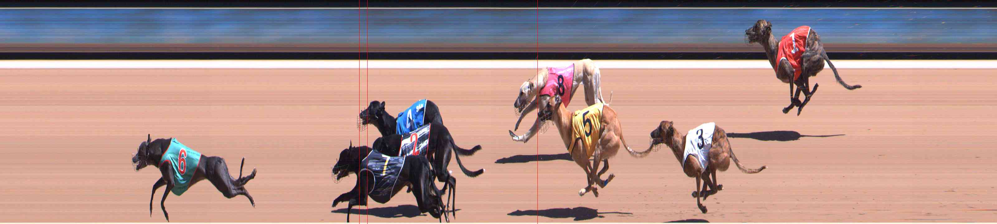Photo finish for Healesville Race 6