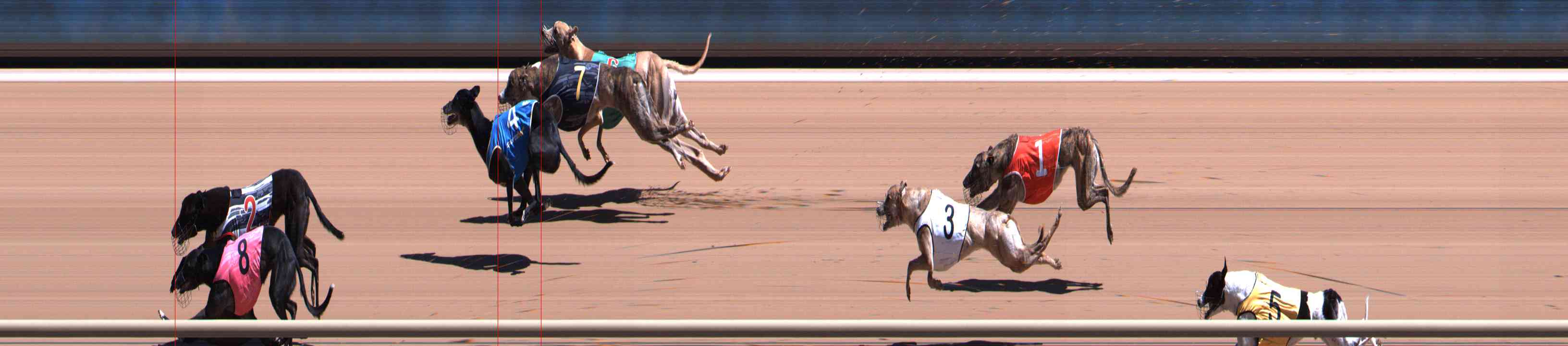Photo finish for Healesville Race 7