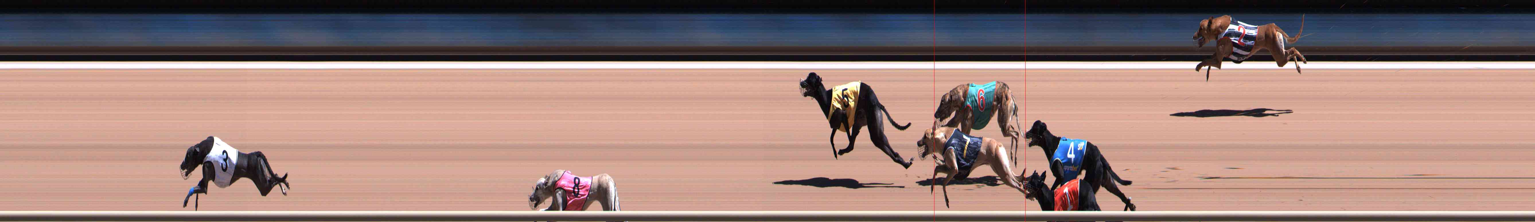 Photo finish for Healesville Race 8
