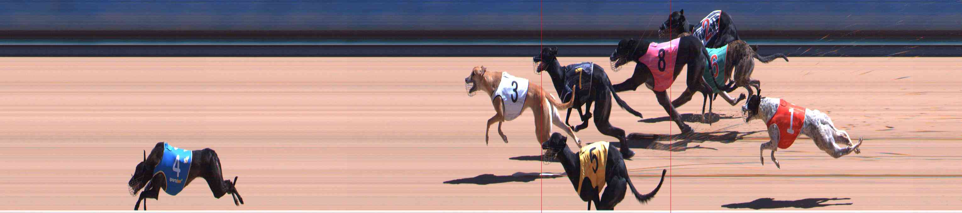 Photo finish for Healesville Race 10