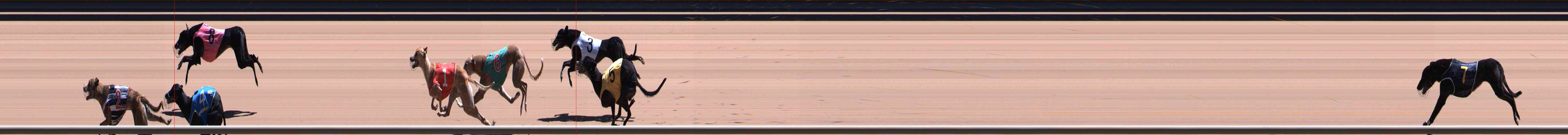 Photo finish for Healesville Race 12