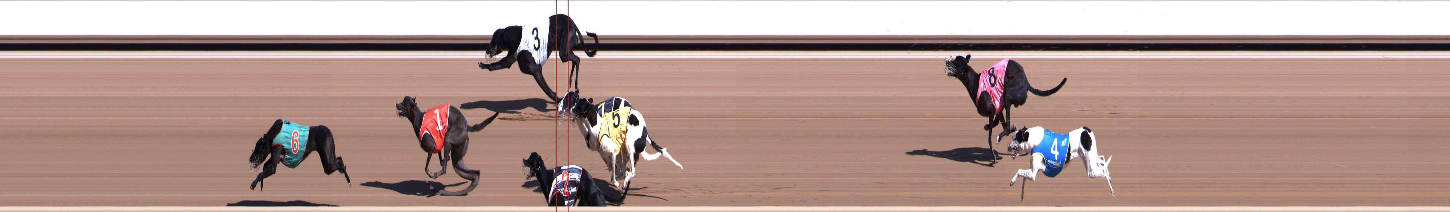 Photo finish for Healesville Race 1