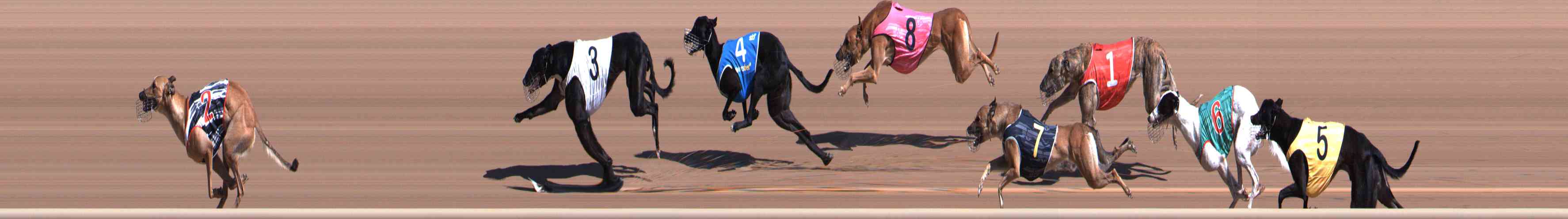 Photo finish for Healesville Race 2