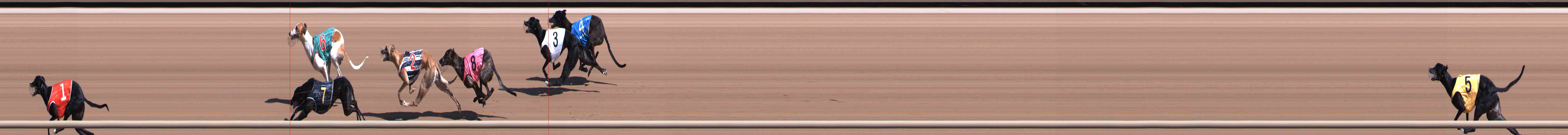 Photo finish for Healesville Race 3