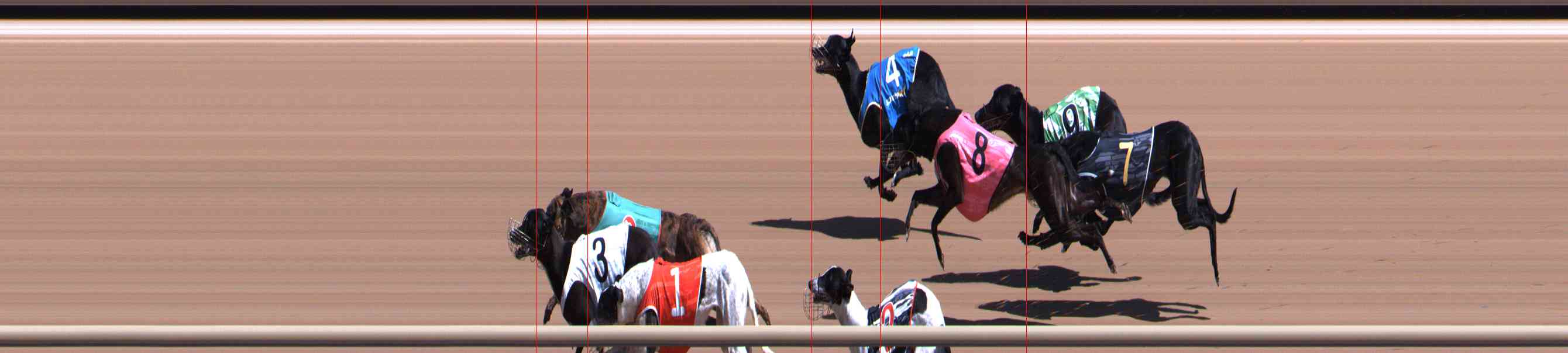 Photo finish for Healesville Race 5