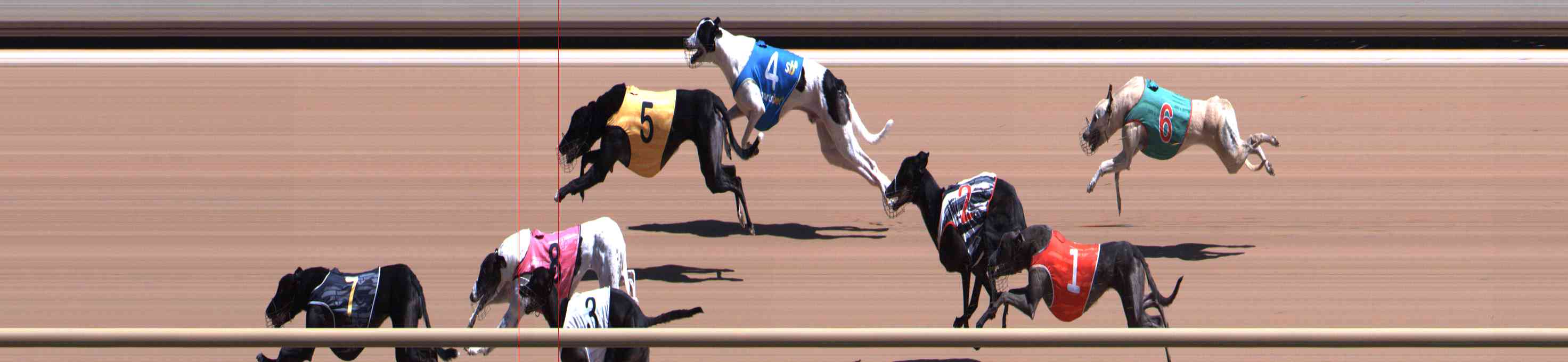 Photo finish for Healesville Race 6