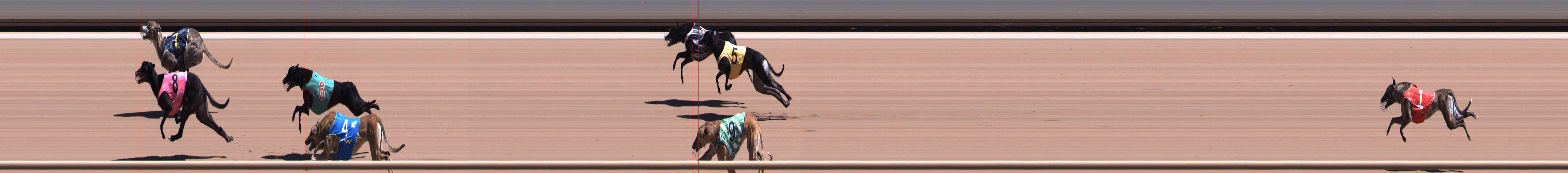 Photo finish for Healesville Race 7