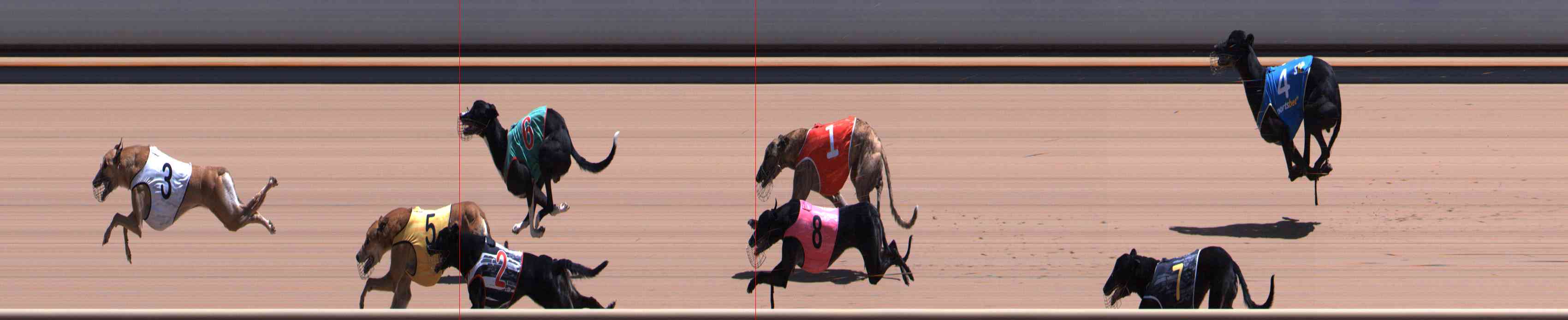 Photo finish for Healesville Race 9