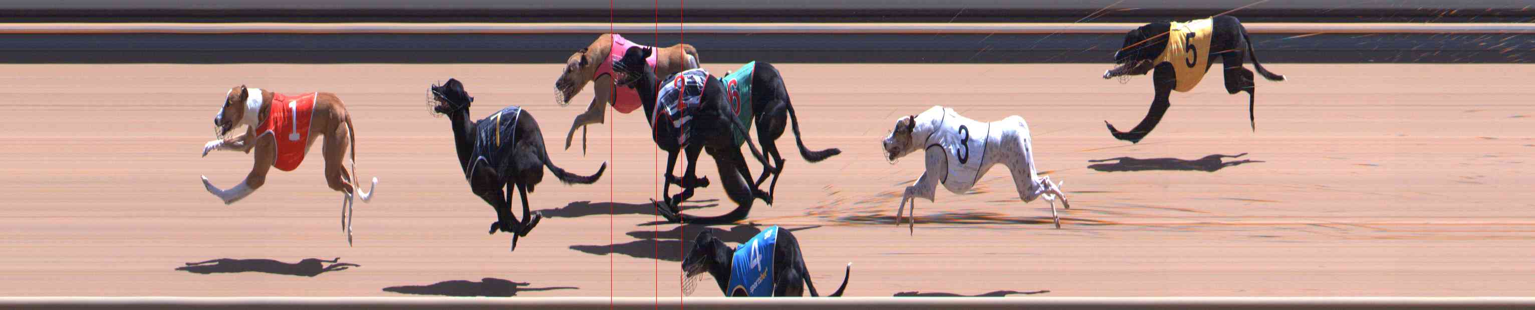 Photo finish for Healesville Race 10