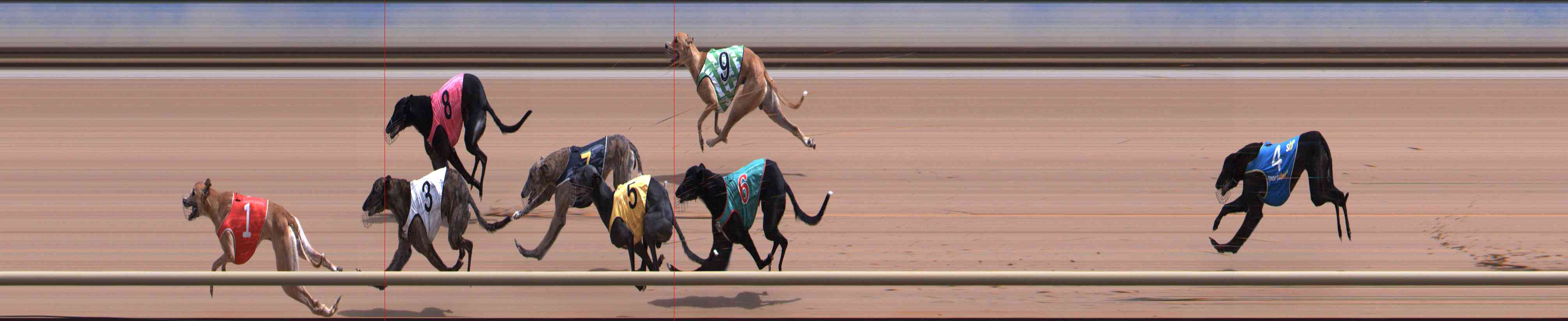 Photo finish for Healesville Race 7