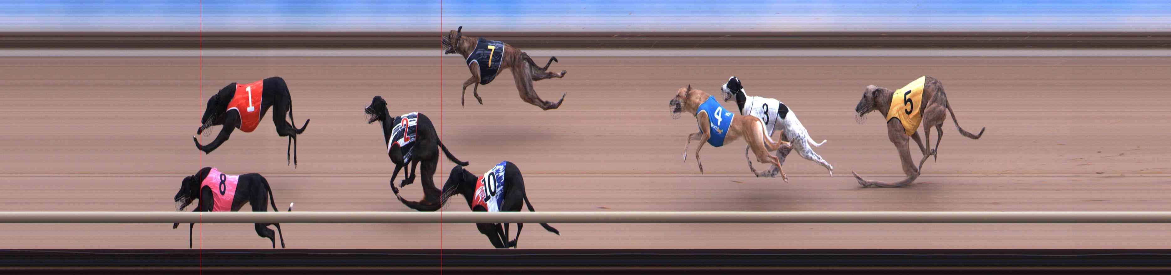 Photo finish for Healesville Race 1