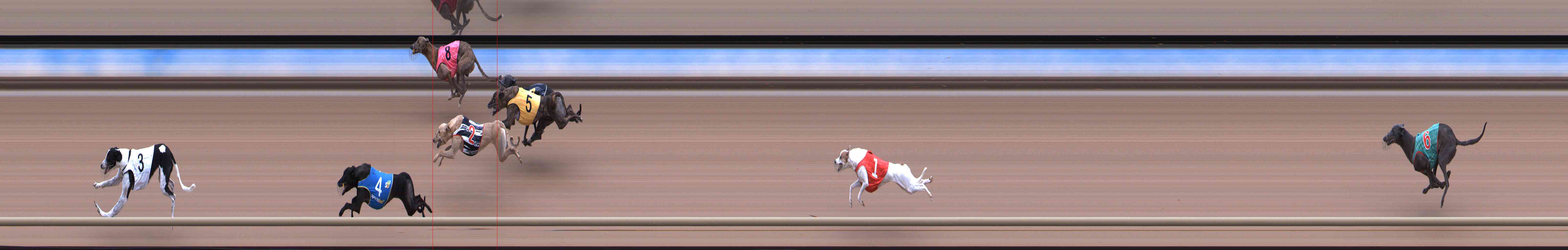 Photo finish for Healesville Race 3