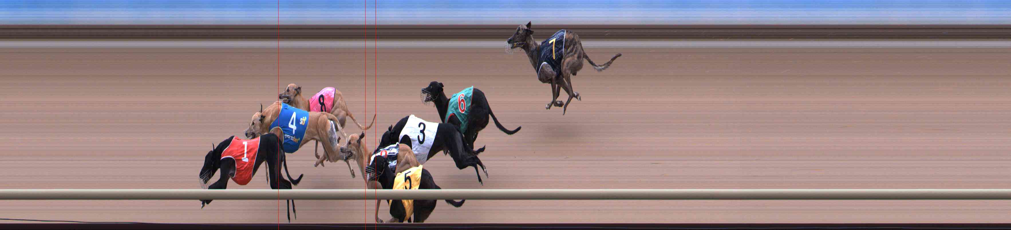 Photo finish for Healesville Race 4