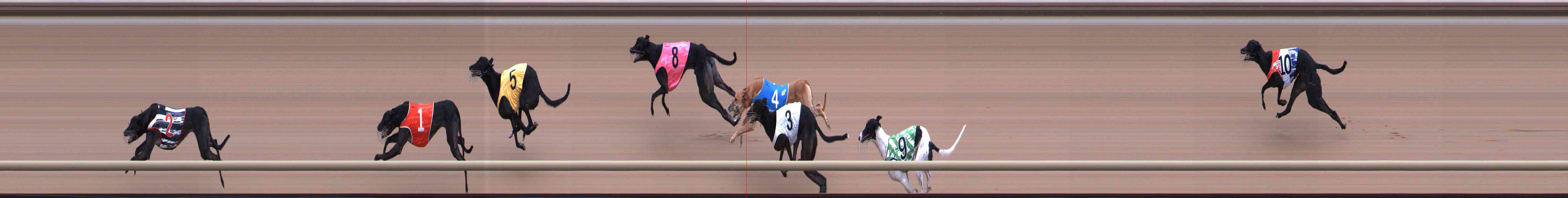Photo finish for Healesville Race 5