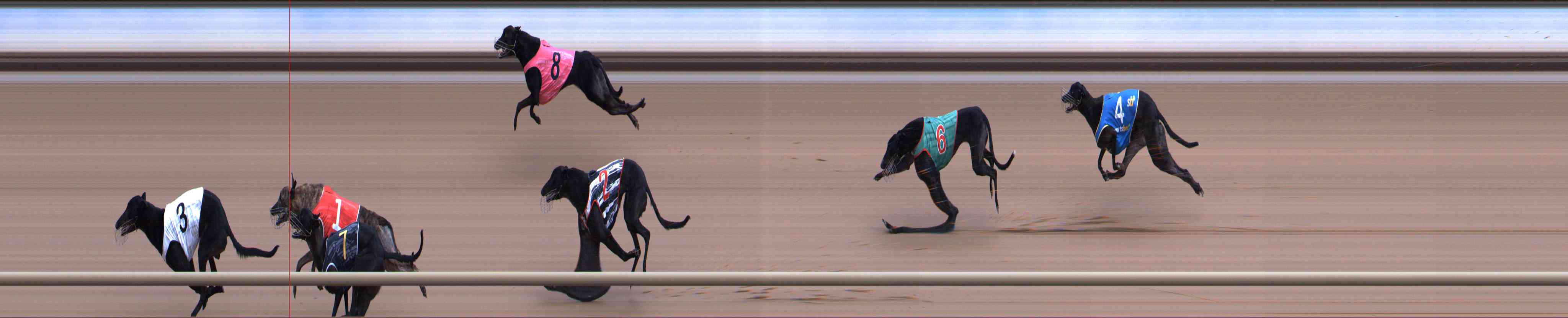 Photo finish for Healesville Race 6