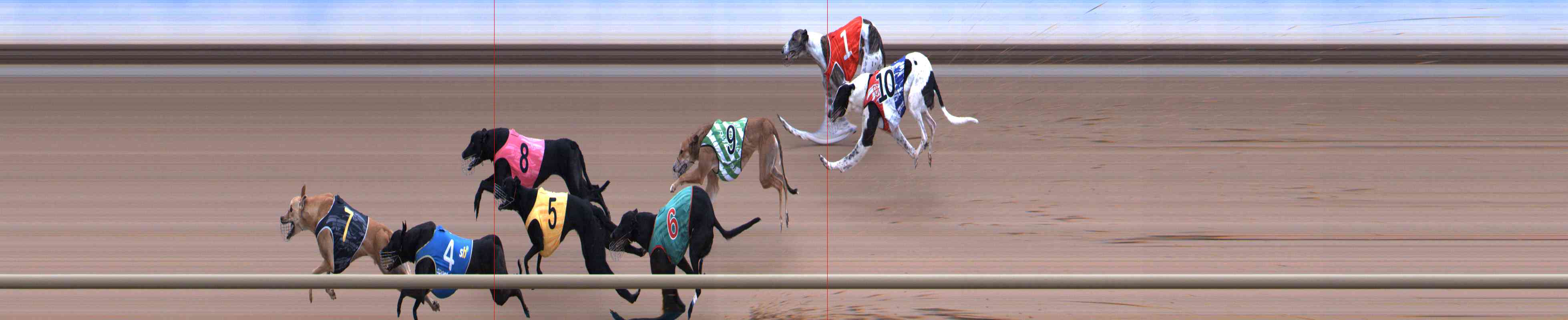 Photo finish for Healesville Race 9