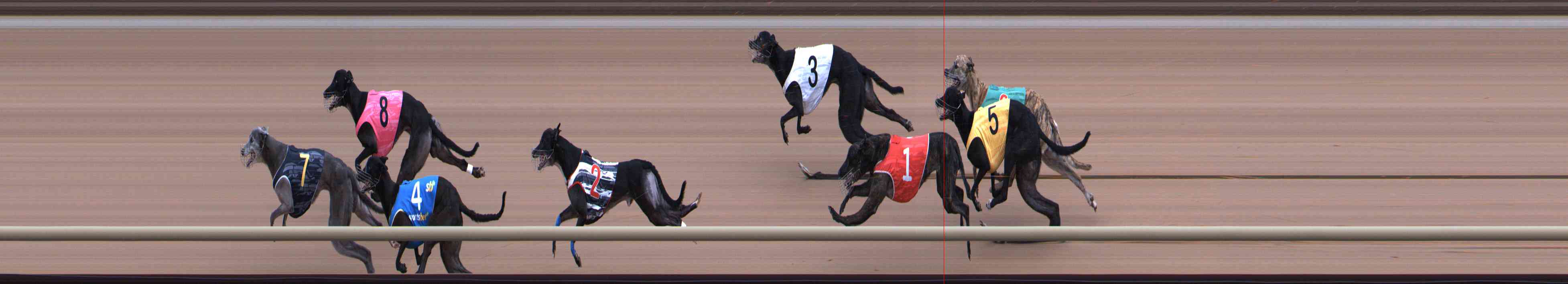 Photo finish for Healesville Race 10