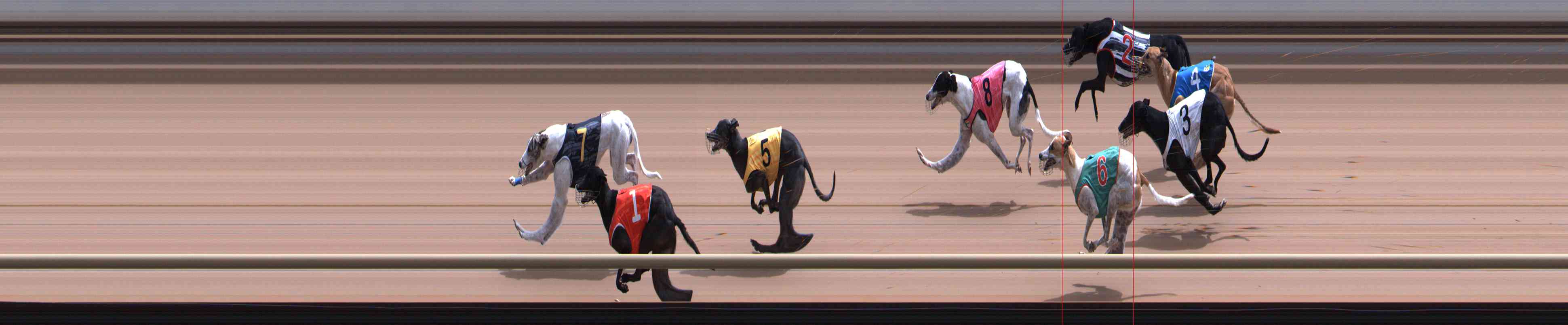 Photo finish for Healesville Race 11