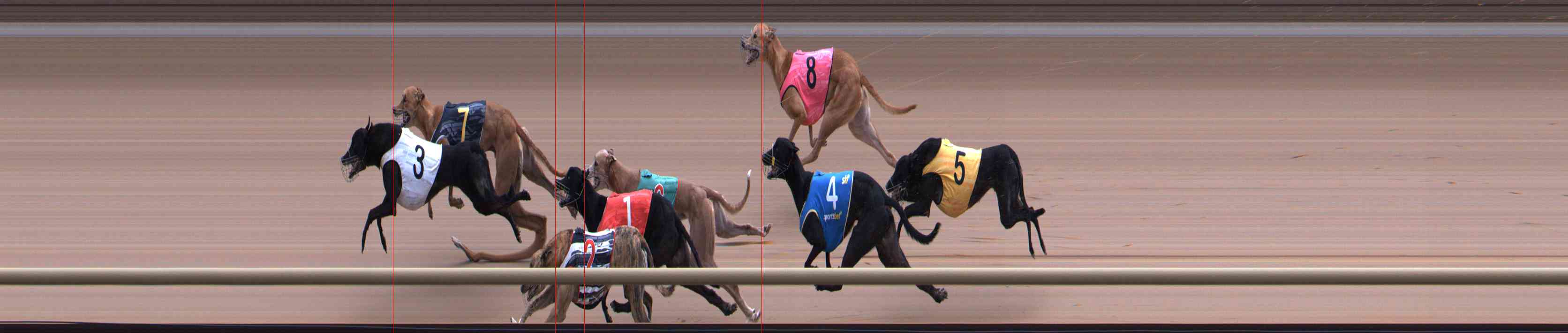 Photo finish for Healesville Race 12